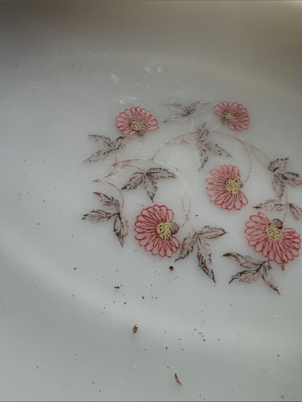 Floral Pink Blossom Decorative Plate by